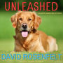 Unleashed (Andy Carpenter Series #11)