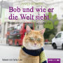 Neue Abenteuer mit dem Streuner