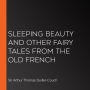 Sleeping Beauty and other fairy tales From the Old French