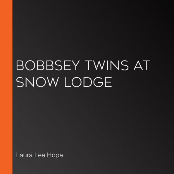 Bobbsey Twins at Snow Lodge