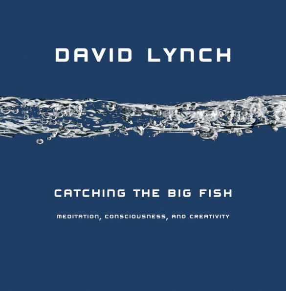 Catching the Big Fish: Meditation, Consciousness, and Creativity