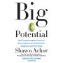 Big Potential: How Transforming the Pursuit of Success Raises Our Achievement, Happiness, and Well-Being