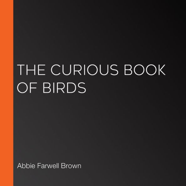 The Curious Book of Birds