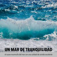 Un mar de tranquilidad: el suave murmullo del mar con una calidad de sonido excelente: Sonidos del mar sin musica