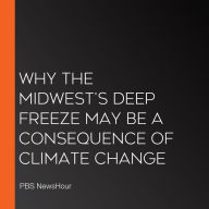 Why The Midwest's Deep Freeze May Be A Consequence Of Climate Change