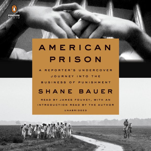 American Prison: A Reporter's Undercover Journey into the Business of Punishment