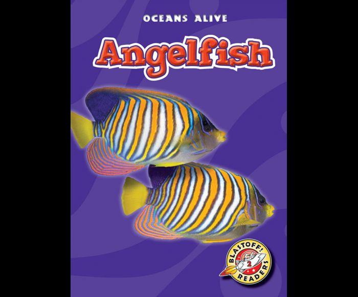 Angelfish by Colleen Sexton, Dana Fleming | 2940169543346