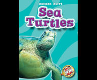 Sea Turtles