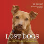 The Lost Dogs: Michael Vick's Dogs and Their Tale of Rescue and Redemption