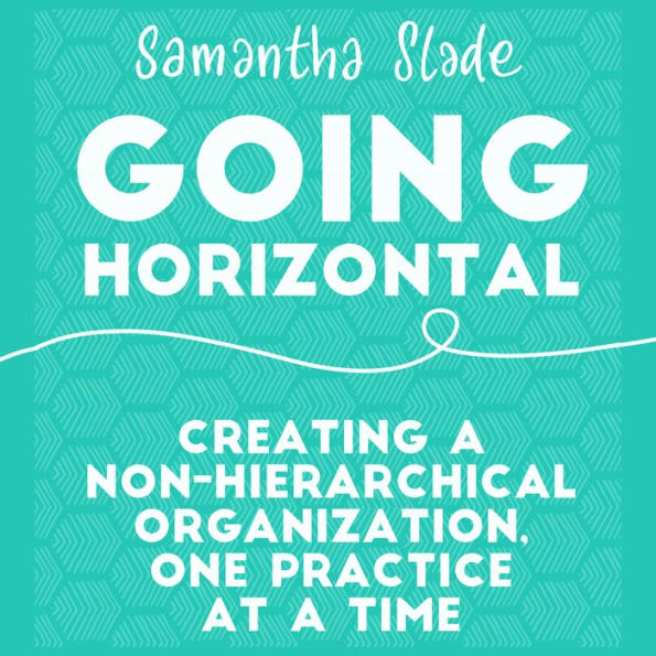 Going Horizontal: Creating a Non-Hierarchical Organization, One Practice at a Time