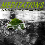 Meditations - Beethoven No. 3 in the Woods