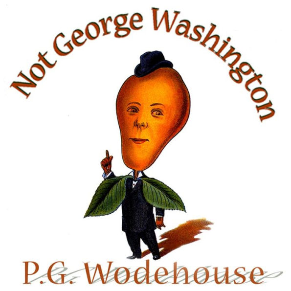 Not George Washington: An Autobiographical Novel