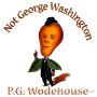Not George Washington: An Autobiographical Novel