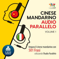 Audio Parallelo Cinese Mandarino: Impara il cinese mandarino con 501 Frasi utilizzando l'Audio Parallelo - Volume 1