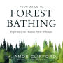 Your Guide to Forest Bathing: Experience the Healing Power of Nature