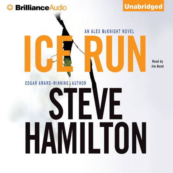 Ice Run (Alex McKnight Series #6)