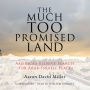 The Much Too Promised Land: America's Elusive Search for Arab-Israeli Peace