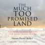 The Much Too Promised Land: America's Elusive Search for Arab-Israeli Peace