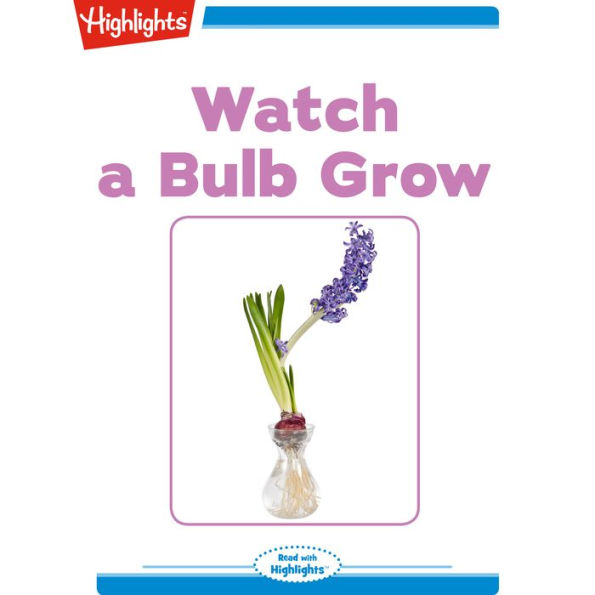 Watch A Bulb Grow