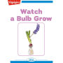 Watch A Bulb Grow