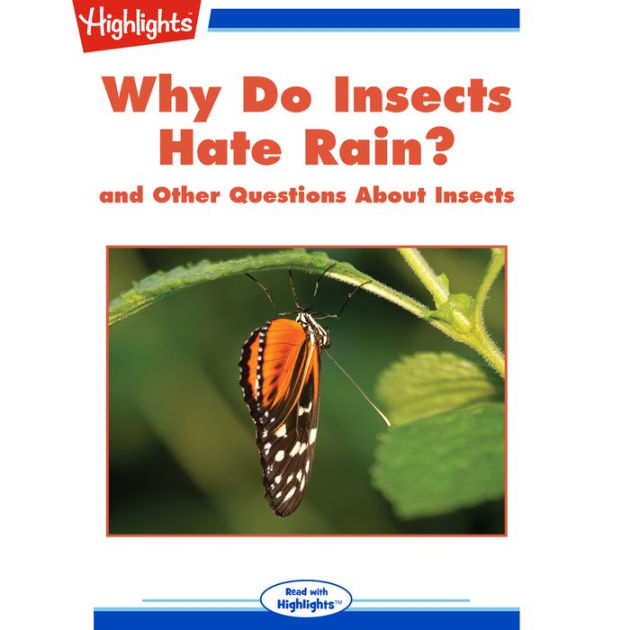 Why Do Insects Hate Rain? and Other Questions About Insects by