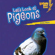 Let's Look at Pigeons