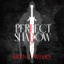 Perfect Shadow: A Night Angel Novella