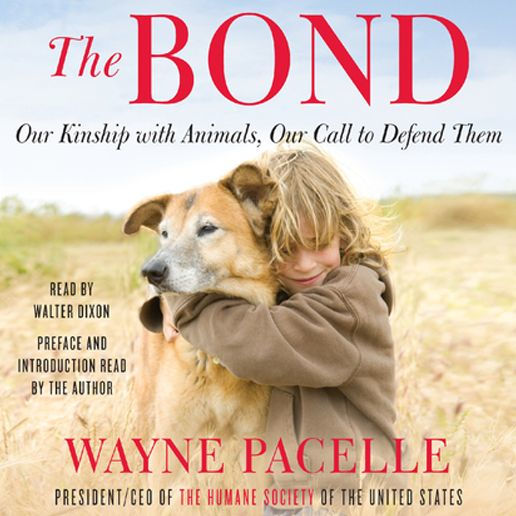 The Bond: Protecting the Special Relationship Between Animals and Humans