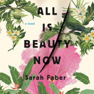 All Is Beauty Now: A Novel
