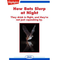 How Bats Slurp at Night