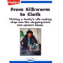 From Silkworm to Cloth