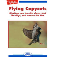 Flying Copycats