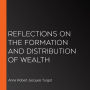 Reflections on the Formation and Distribution of Wealth