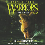 Dark River (Warriors: Power of Three Series #2)