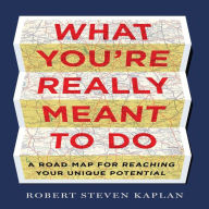 What You're Really Meant To Do: A Road Map for Reaching Your Unique Potential
