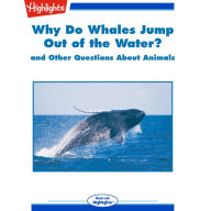 Why Do Whales Jump out of the Water?: and Other Questions About Animals