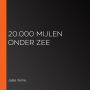 20.000 Mijlen onder Zee