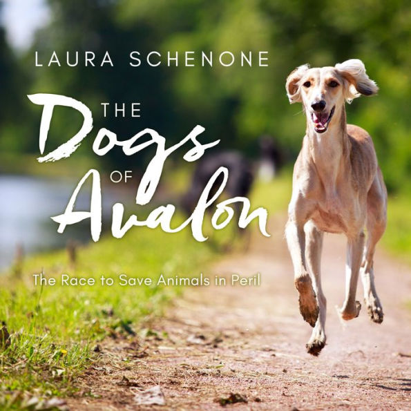 The Dogs of Avalon: The Race to Save Animals in Peril