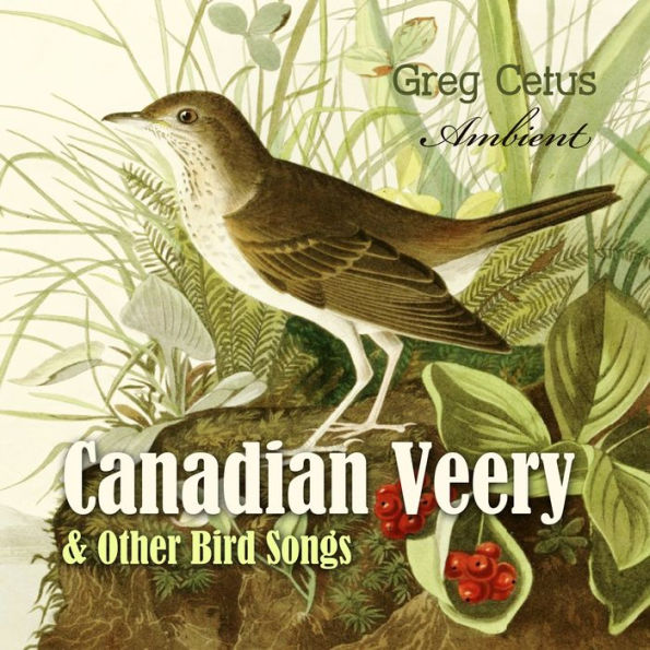 Canadian Veery and Other Bird Songs: Ambient Soundscape for Peace of Mind