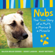Nubs