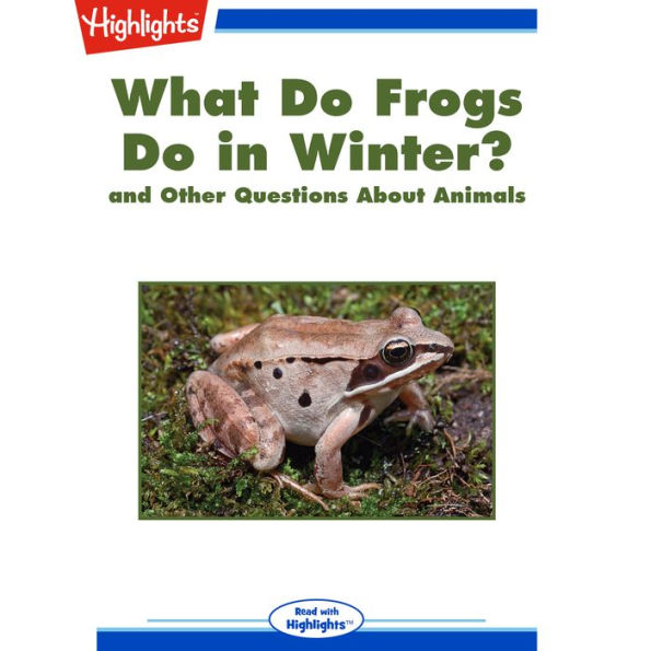 What Do Frogs Do in Winter?: and Other Questions About Animals