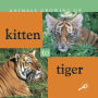Kitten to Tiger: Life Science - Animals Growing Up