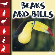 Beaks and Bills: Life Science - Let's Look at Animals