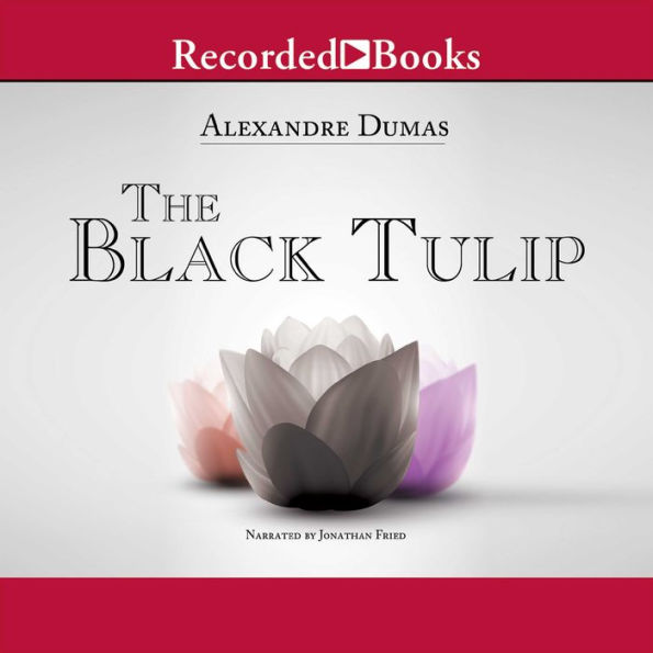 The Black Tulip