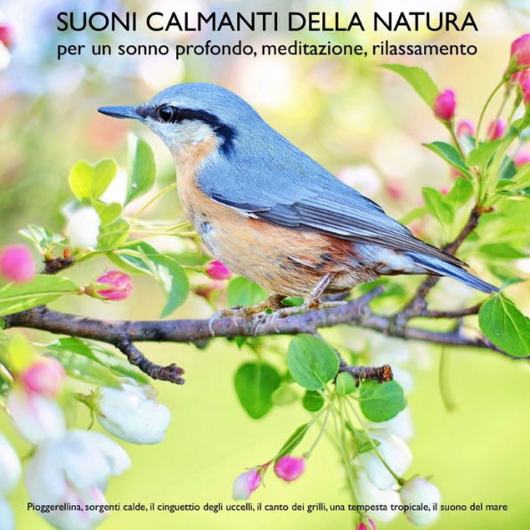 Suoni calmanti della natura (senza musica) per un sonno profondo, meditazione, rilassamento: Pioggerellina, sorgenti calde, il cinguettio degli uccelli, il canto dei grilli, una tempesta tropicale, il suono del mare