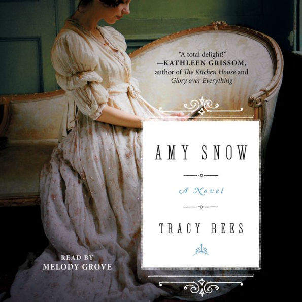 Amy Snow: A Novel