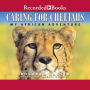 Caring for Cheetahs