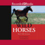 Wild Horses: Black Hills Sanctuary