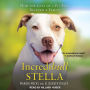 Incredibull Stella: How the Love of a Pit Bull Rescued a Family