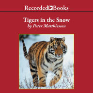 Tigers in the Snow